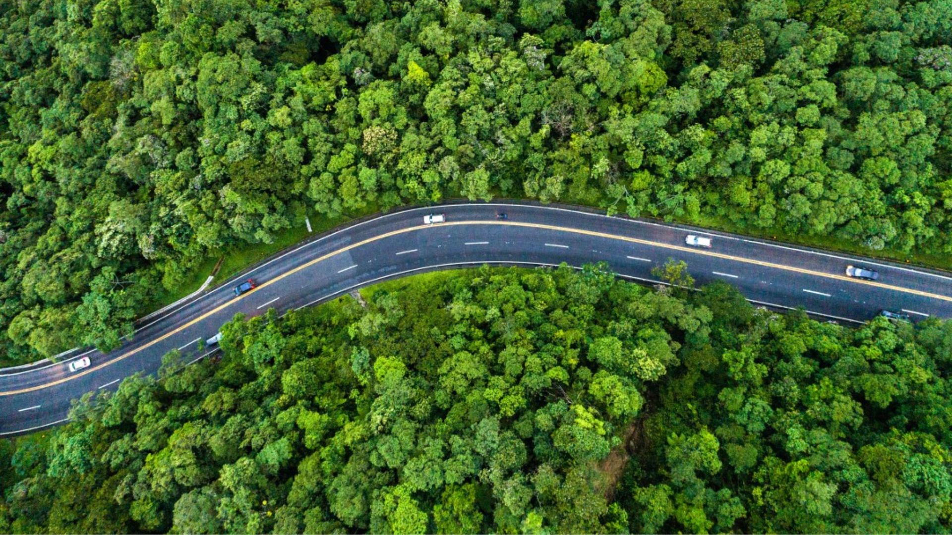 Shifting Gears: The Evolving Landscape of Vehicle Emissions Regulations
